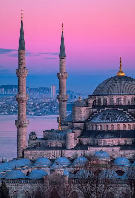 mosque long vertical pic
